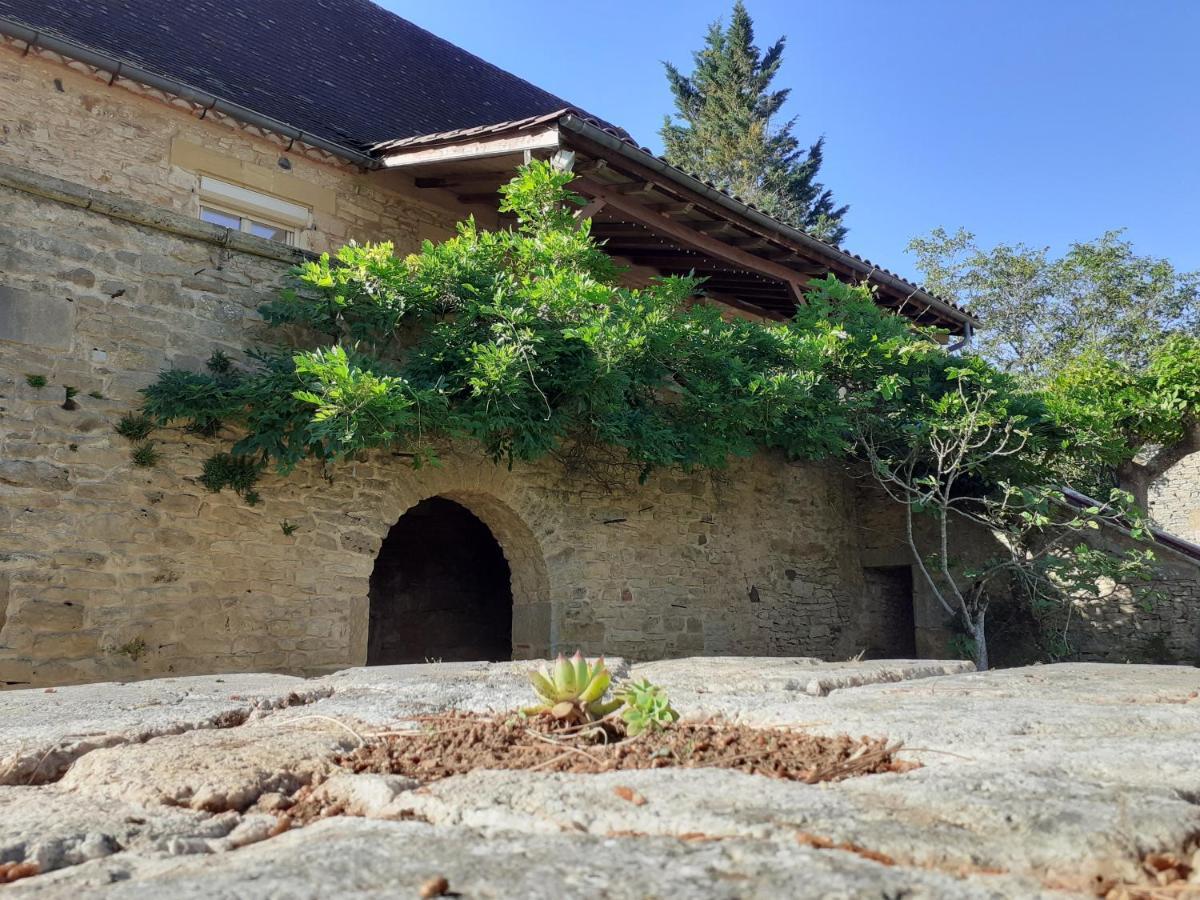 Gite "Las Casitas Du Lot" Dans Le Perigord Frayssinet-le-Gelat Экстерьер фото